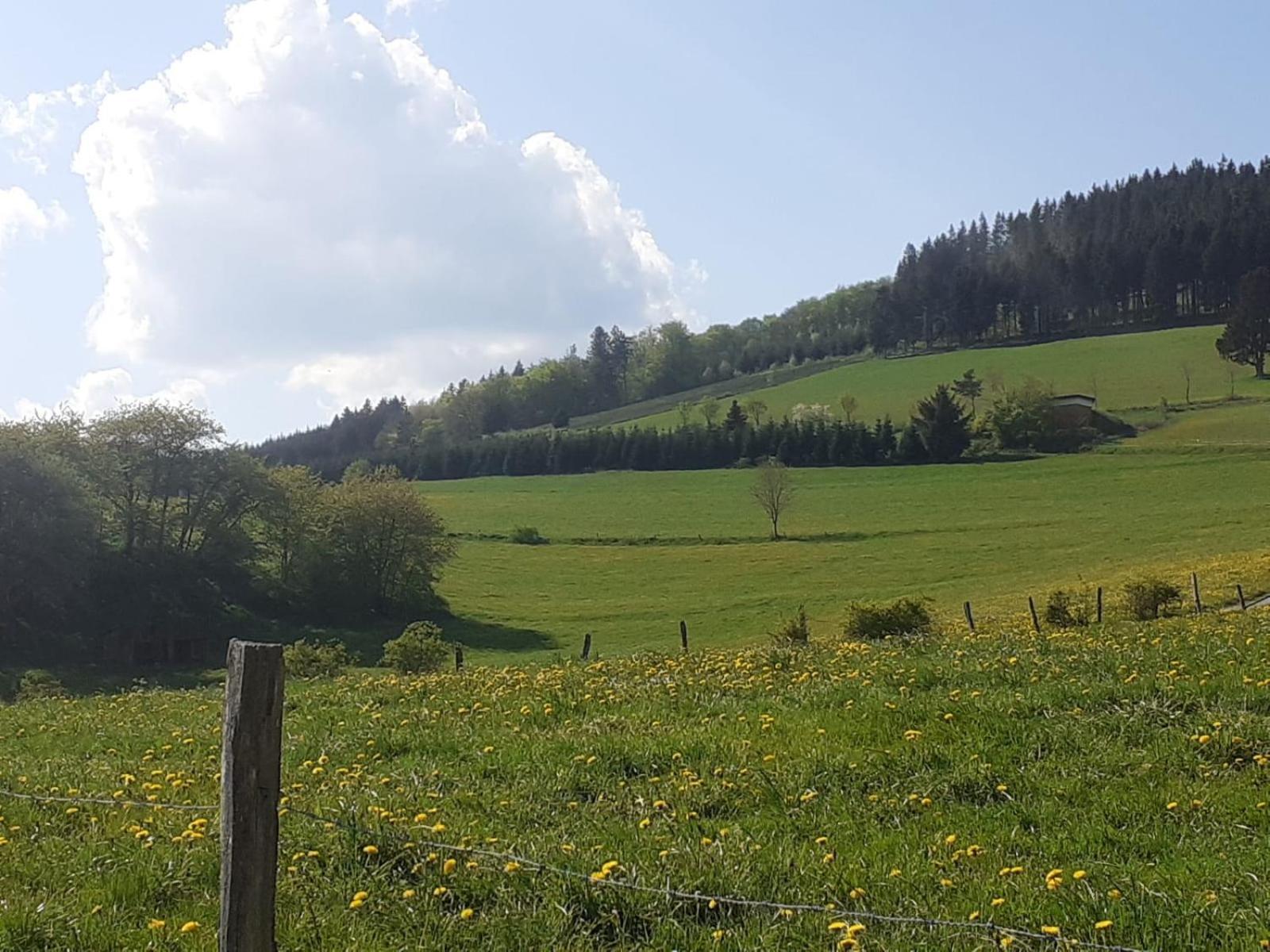 Ferienwohnungen Sternenhimmel Whg 1 Medebach Luaran gambar
